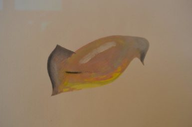 Kovandův ptačí akvarel