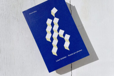 Pitomec, kam se podíváš. V debutu Lukáše Balabána se to jimi jen hemží