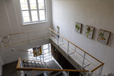 Z rybníku umělce a aktivisty Lukáše Kleberce vylovila Galerie Provoz malé ryby s velkou duší